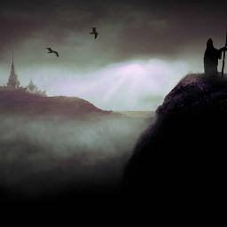 petrigore's profile picture. 