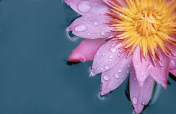 RReb1984's profile picture. Criminology Lecturer at UCBC