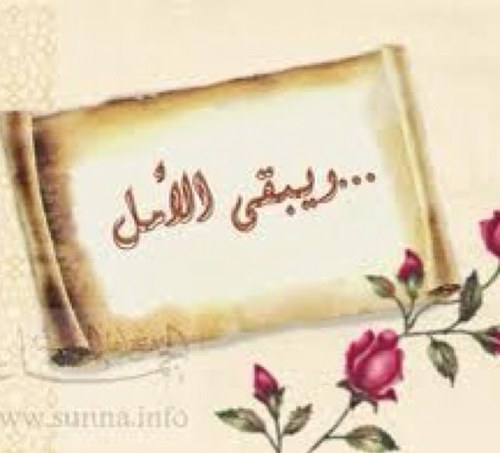 سبحان الله و بحمده ، سبحان الله العظيم