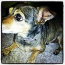 Coco Santana - @C0co_Santana - Twitter