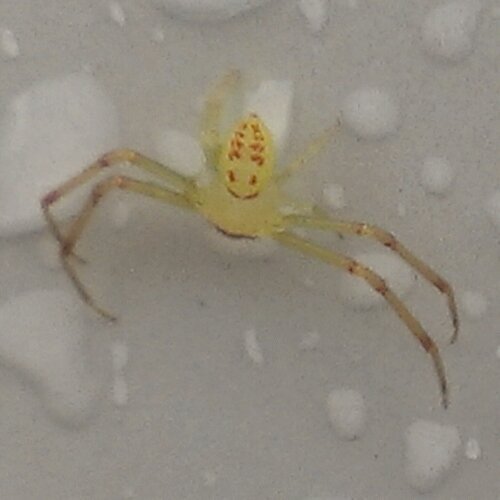 burtjz's profile picture. 