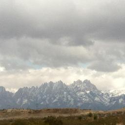 micisner's profile picture. 