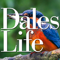 Dales Life (@dales_life) 's Twitter Profile