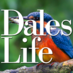 Dales Life (@dales_life) Twitter profile photo Dales Life (@dales_life) Twitter profile photo