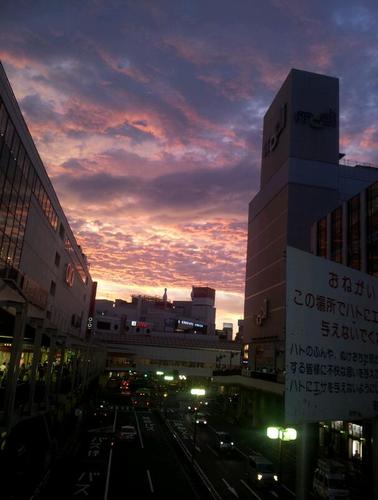 japan.No,7 ENDO ﾚｱﾙさえ勝てばそれでいい。山梨好き。世界中の貧困の子供たちを救うのが夢！