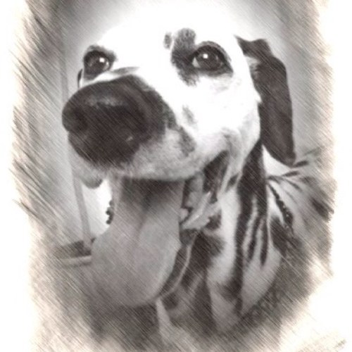 moitie_moitie Profile Picture