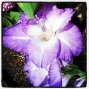 ENAwareness's profile picture. We are calling for communities to get involved and create awareness for epilepsy. Break the silence and dispel the myths about epilepsy. Create Awareness!