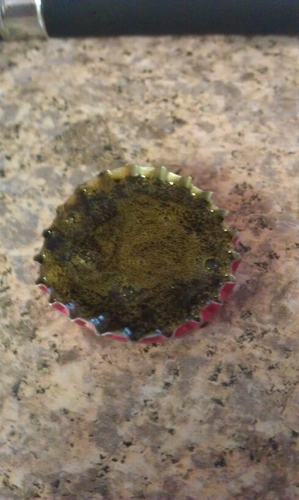 cooler_rick's profile picture. u2 sucks even more than coldplay, fight me