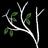 FocusPasadena's profile image