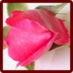 Images and Quotes (@imagesandquotes) Twitter profile photo Images and Quotes (@imagesandquotes) Twitter profile photo