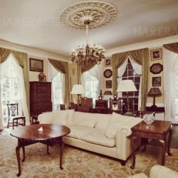 sonyaif's profile picture. 