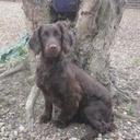 Claire Ellison - @ClaireEllison02 - Twitter