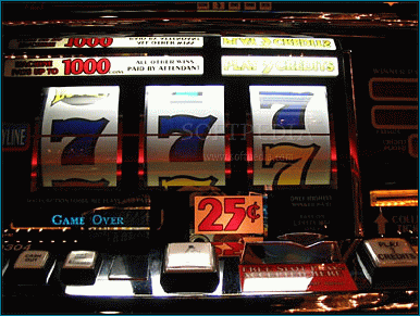 real casino slots online free spielautomaten kostenlos spielen ohne anmeldung real casino slots online free spielautomaten kostenlos spielen ohne anmeldung