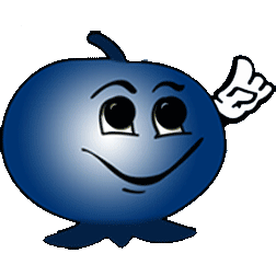 Klassen Blueberries