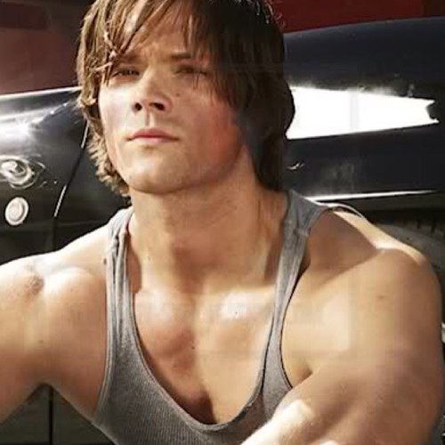 SophiRandaII's profile picture. 