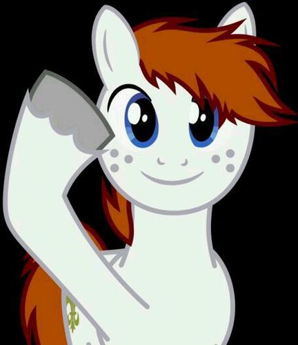 Hiya! Name's Chad! I'm a retired royal guard of the princess, but I decided to move to Ponyville to settle down and start a new life! Come visit some time!