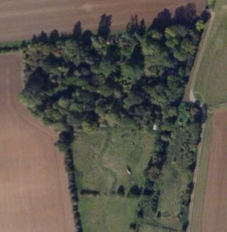 bzaquaponics's profile picture. Instagram - BZAQUAPONICS