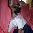 Eliza Carter - @ElizaCarter6 - Twitter