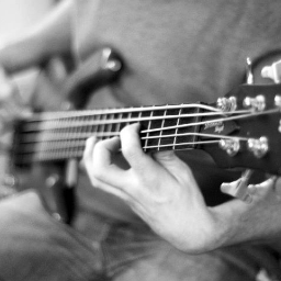 Bass
