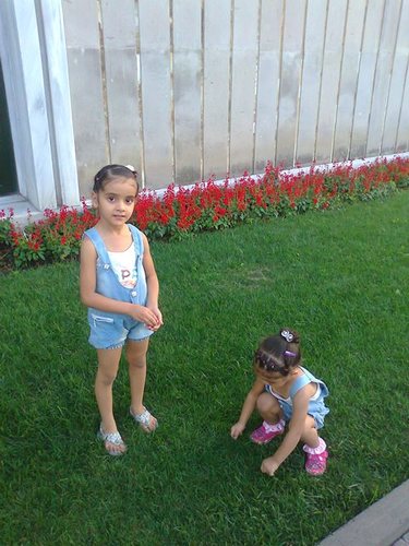 I'm Noor Bacem Ahmad,4years, I'm intersted in twitter .