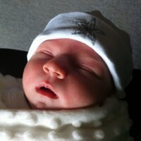 debbie sutton (@debbie_sutton) 's Twitter Profile