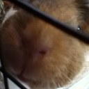 sandra chartier - @ChartierSandra - Twitter