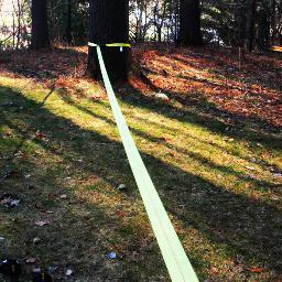 Hanging out somewhere between two trees. 

Check out our friends: http://t.co/VsAieuJWbF