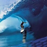 Surf Report(@theworldsurfs) 's Twitter Profile Photo
