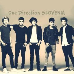 @1DThisIsUs follows #SloveniaLoves1D