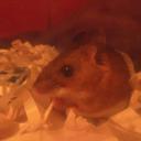 Chris Bettis - @ChrisBettis2 - Twitter