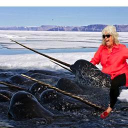 We are Driving With Narwhals: an up-and-coming folk comedy duo who love butter and double stuffed oreos (we're even writing a song about it) Hipsters love us.