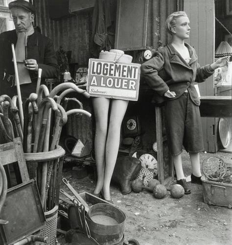 Amaury__B's profile picture. Soyez résolus de ne servir plus, et vous serez libres