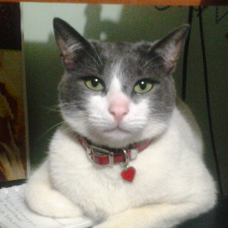 dohetobe's profile picture. PROFESIONAL EN CIENCIAS DE LA INFORMACIÓN Y LA DOCUMENTACIÓN, BIBLIOTECOLOGA ARCHIVISTA, UNIVERSIDAD DEL QUINDIO, TARJETA PROFESIONAL No. 523