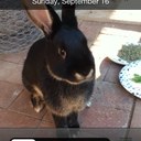 william shreffler - @williamshreffle - Twitter