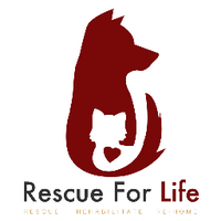 Rescue For Life (@rescueforlife) 's Twitter Profile