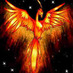 roberto fordiani (@robbyslevin) Twitter profile photo
