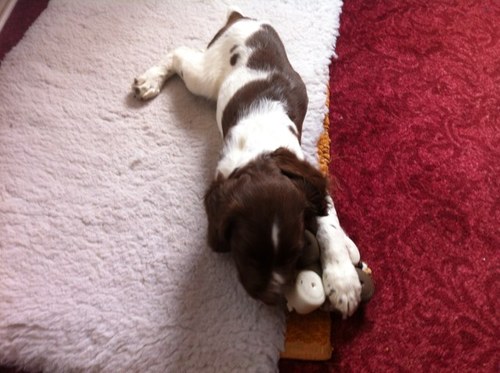 seangall72's profile picture. 