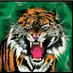 The Tiger's Den (@tigers_den_arts) Twitter profile photo