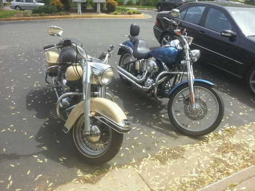 allman_jeff's profile picture. 