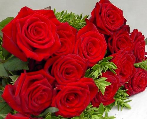adoro ganhar rosas!!!!!!!