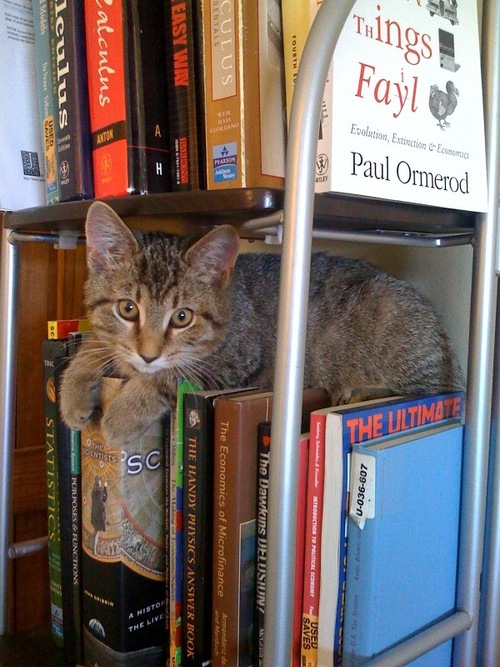 hulli_'s profile picture. 