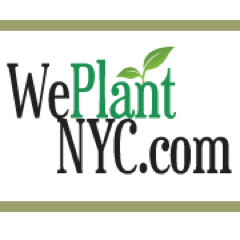 GreenRoofsNYC's profile picture. Making the New York City area a little greener one space at a time through eco-friendly, cost-efficient green roofs, living walls and rooftop gardens.