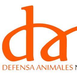 D.A.N - Defensa Animal del Norte de España