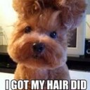 william dickerson - @williamd77711 - Twitter