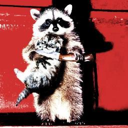 dis aint go be no scavy hunt but yall let dem biscuits know I'll scrape dem plates and rifle throughya trash sbout making dat meal by any means nesery