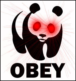 Bitchz either Obey or Obey u have no say....Fuck u mean we team obey in this bitch