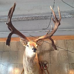 nicktapper1's profile picture. 