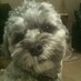 Kristen Muzrall (@kristenmuzrall) Twitter profile photo