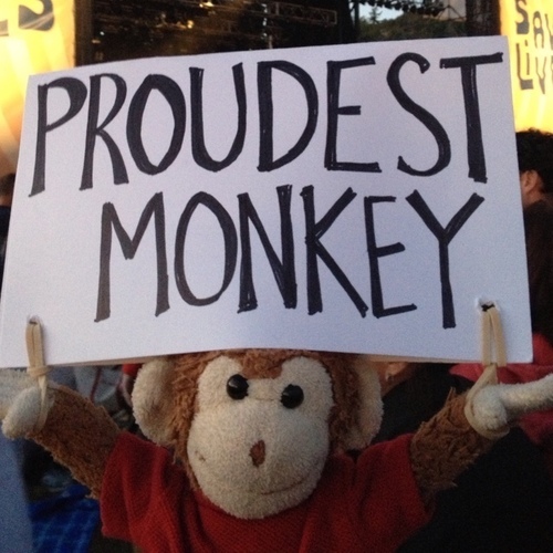 Yes I'm a reel munkey. I luv DMB, practising my karatee, taking naps, & bananas!! #dmbfamily Follow me on instagramz: @sweeps