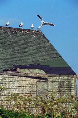 B11Ann's profile picture. Marketing guru loves vAnn Bakeracation